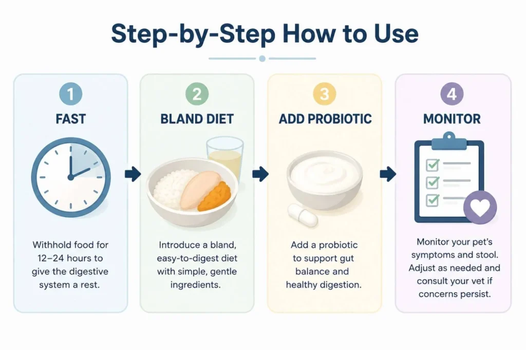 Step-by-step infographic showing four home care steps for dog diarrhea: fasting, feeding a bland diet of rice and chicken, adding probiotics, and monitoring symptoms. Clean flat-design layout with illustrated icons, arrows connecting each step, and a pet health checklist.